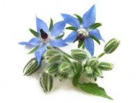 images (1)